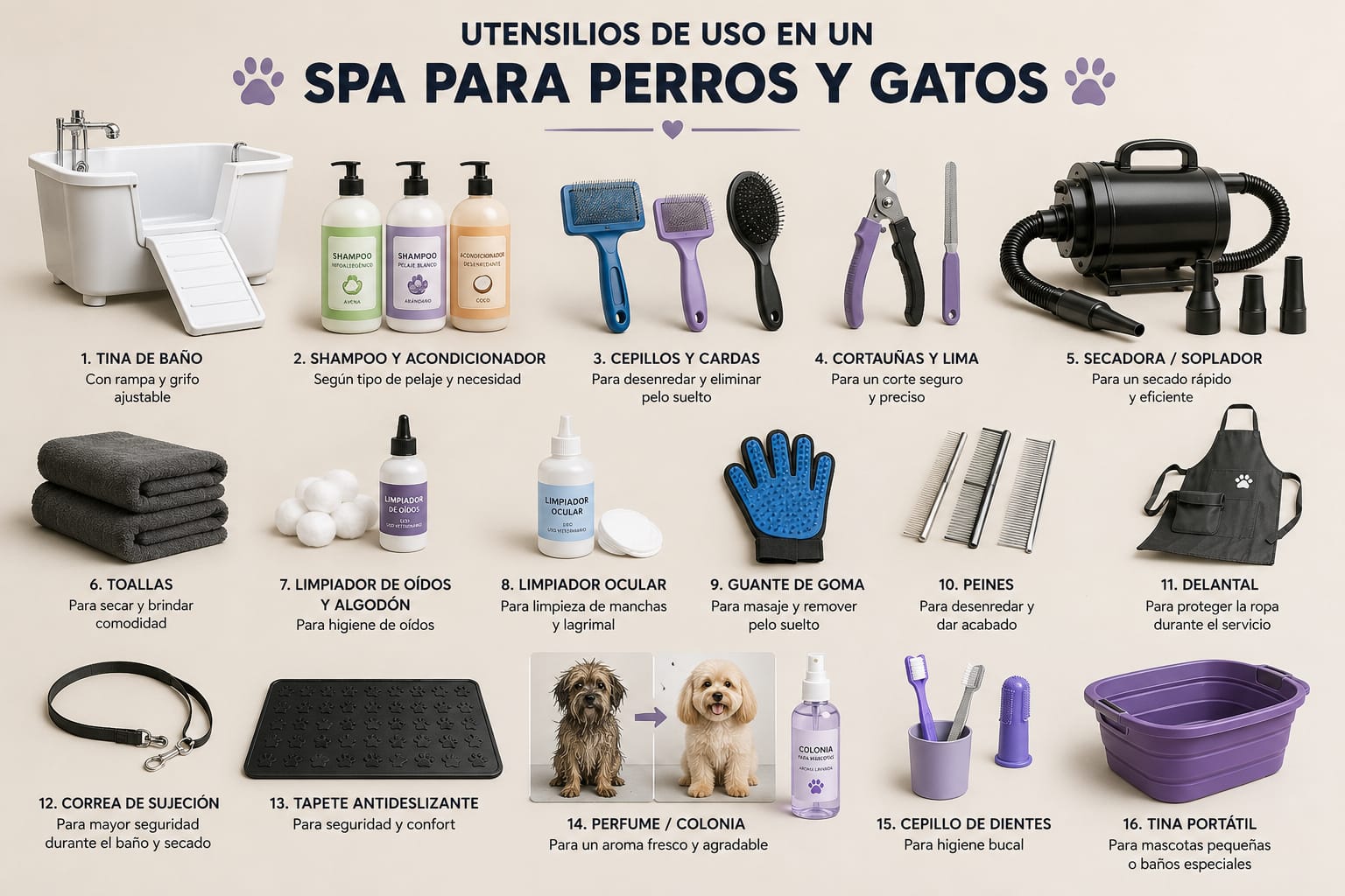 Disinfection Protocols